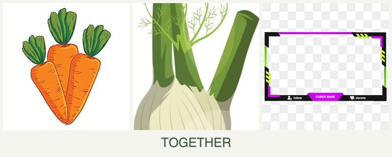Can you plant carrots, fennel and limes together?