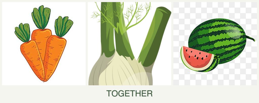 Can you plant carrots, fennel and melons together?