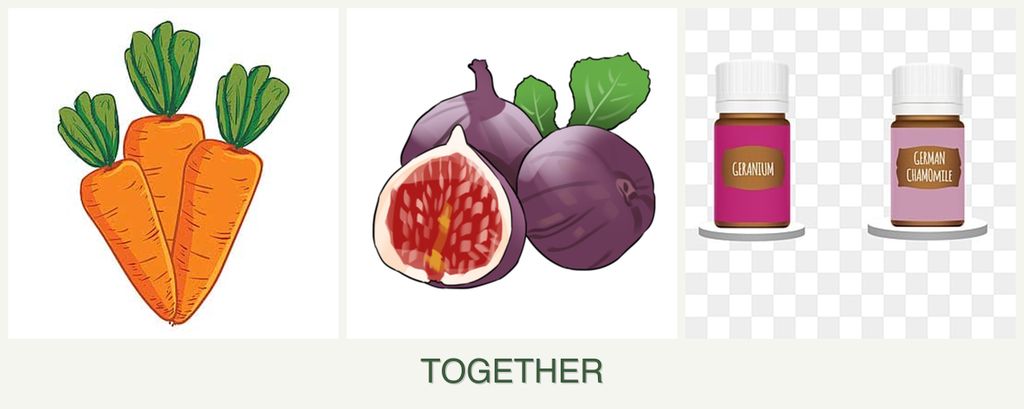 Can you plant carrots, figs and geraniums together?