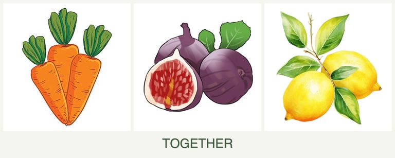 Can you plant carrots, figs and lemons together?