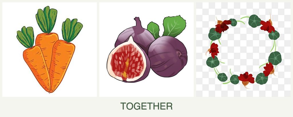Can you plant carrots, figs and nasturtiums together?