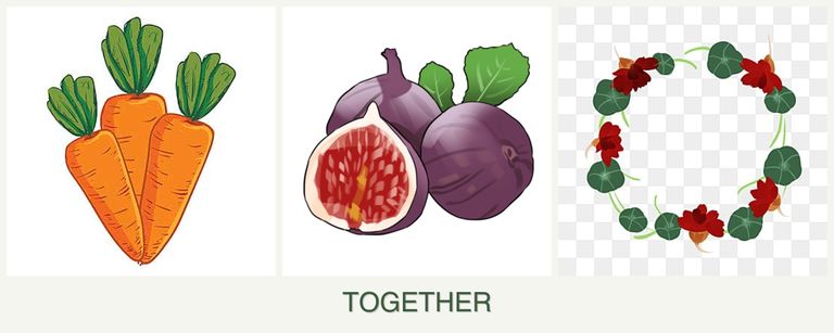 Can you plant carrots, figs and nasturtiums together?