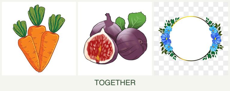 Can you plant carrots, figs and zinnias together?