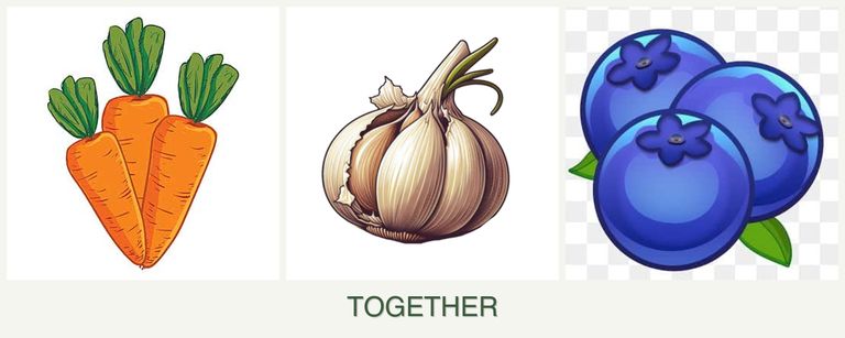 Can you plant carrots, garlic and blueberries together?