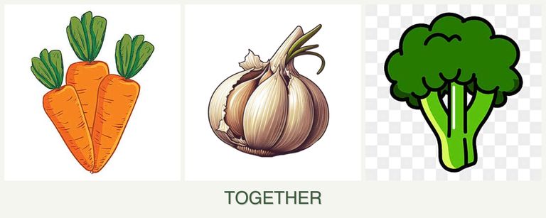 Can you plant carrots, garlic and broccoli together?