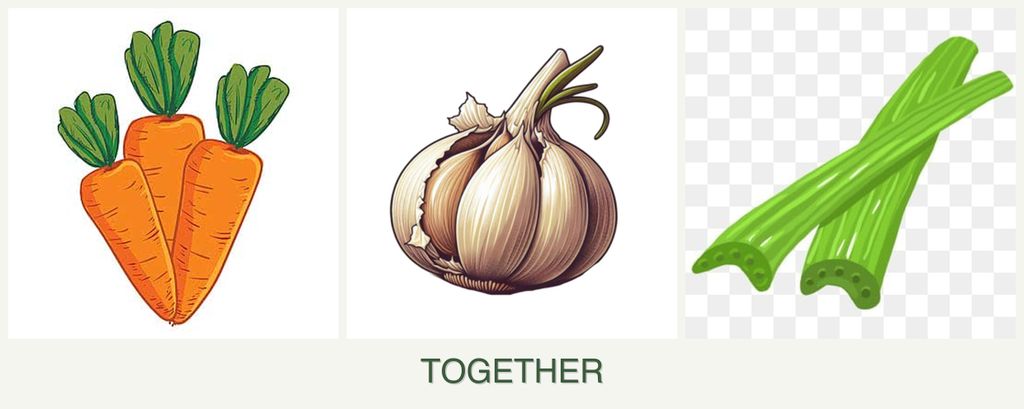 Can you plant carrots, garlic and celery together?