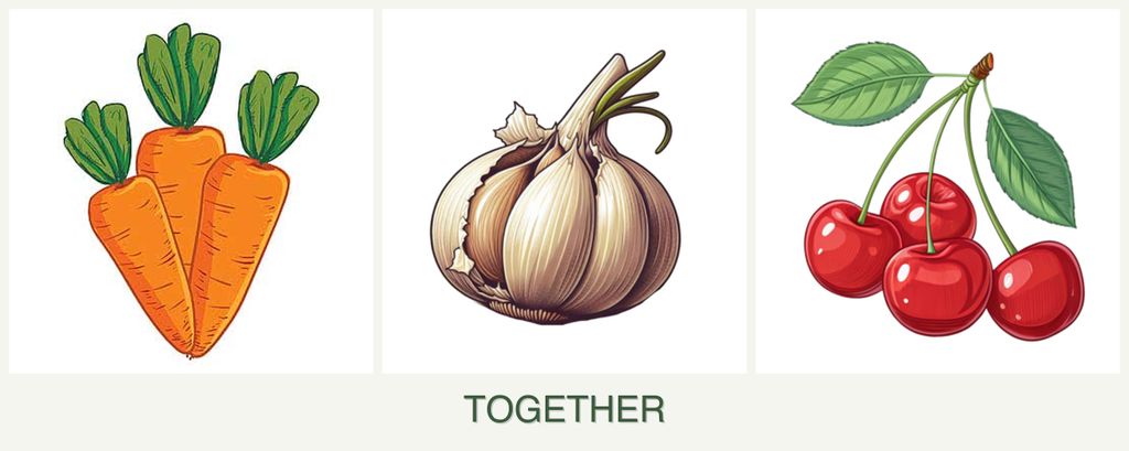 Can you plant carrots, garlic and cherries together?
