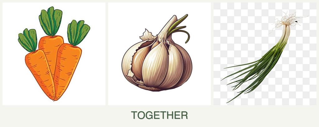 Can you plant carrots, garlic and chives together?