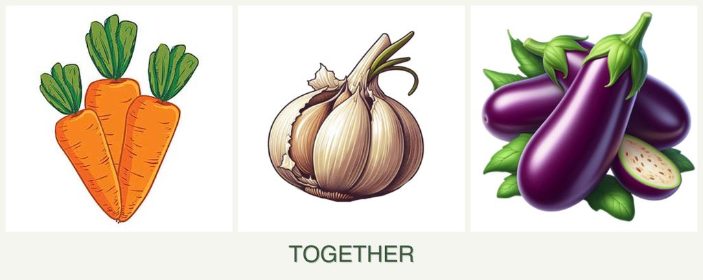 Can you plant carrots, garlic and eggplant together?