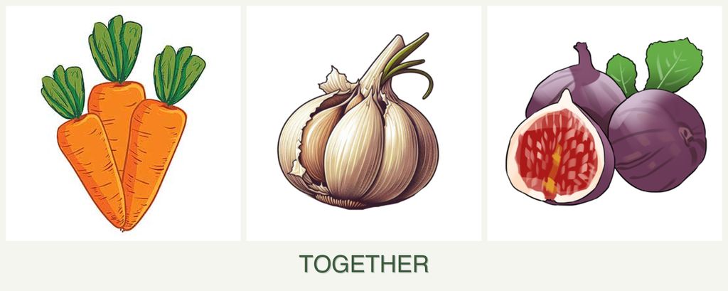 Can you plant carrots, garlic and figs together?