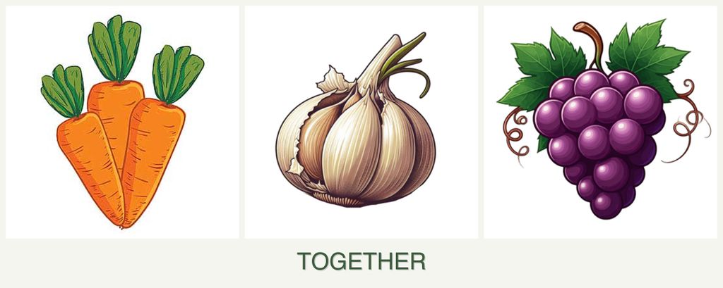 Can you plant carrots, garlic and grapes together?