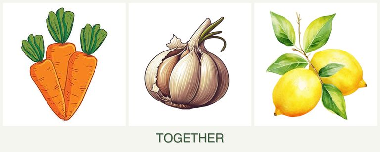 Can you plant carrots, garlic and lemons together?