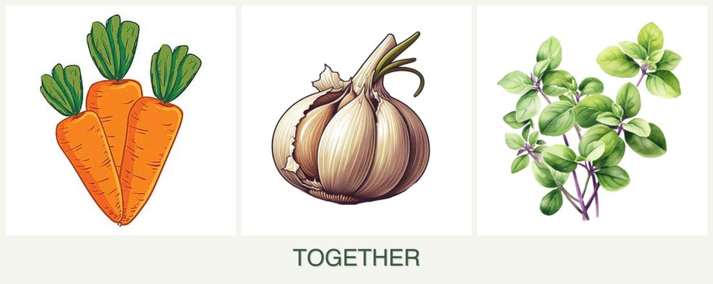 Can you plant carrots, garlic and oregano together?