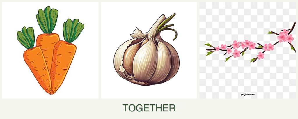 Can you plant carrots, garlic and peaches together?