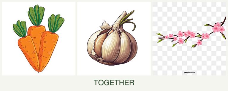 Can you plant carrots, garlic and peaches together?