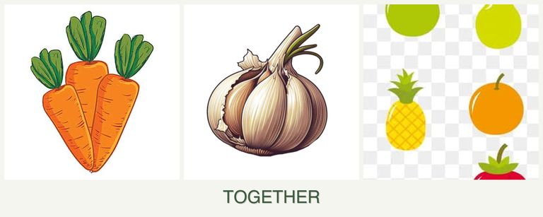 Can you plant carrots, garlic and pears together?