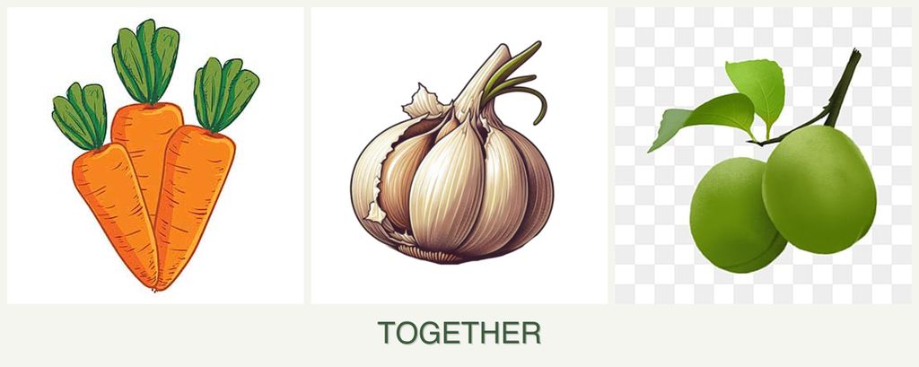Can you plant carrots, garlic and plums together?