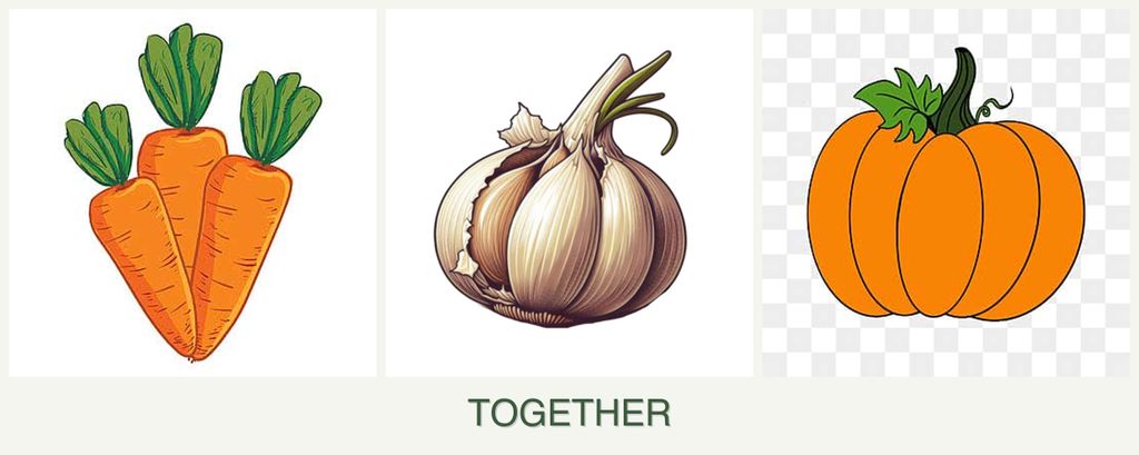 Can you plant carrots, garlic and pumpkin together?