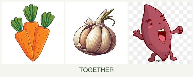 Can you plant carrots, garlic and sweet potatoes together?