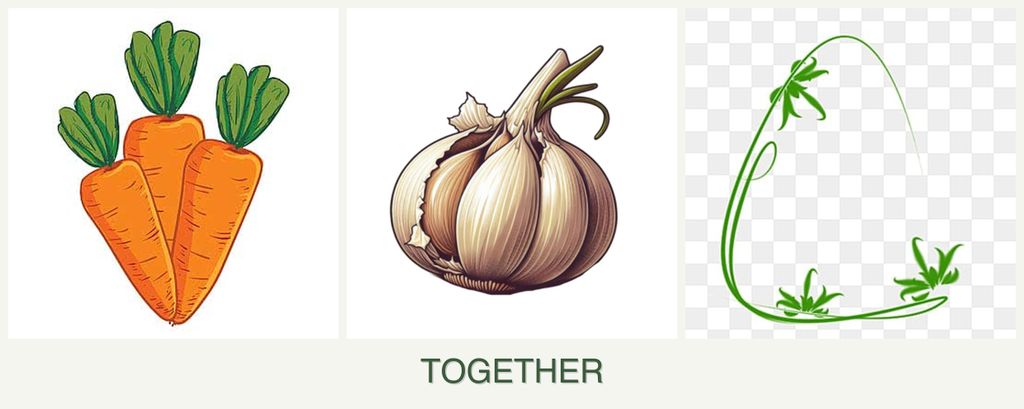 Can you plant carrots, garlic and tarragon together?