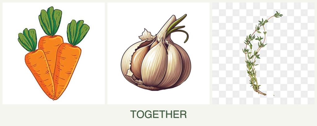 Can you plant carrots, garlic and thyme together?