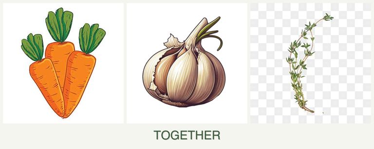 Can you plant carrots, garlic and thyme together?