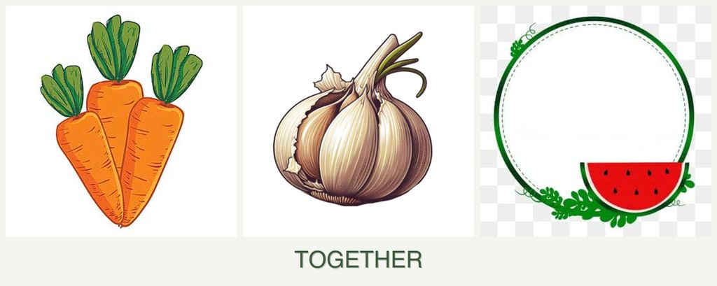 Can you plant carrots, garlic and watermelons together?