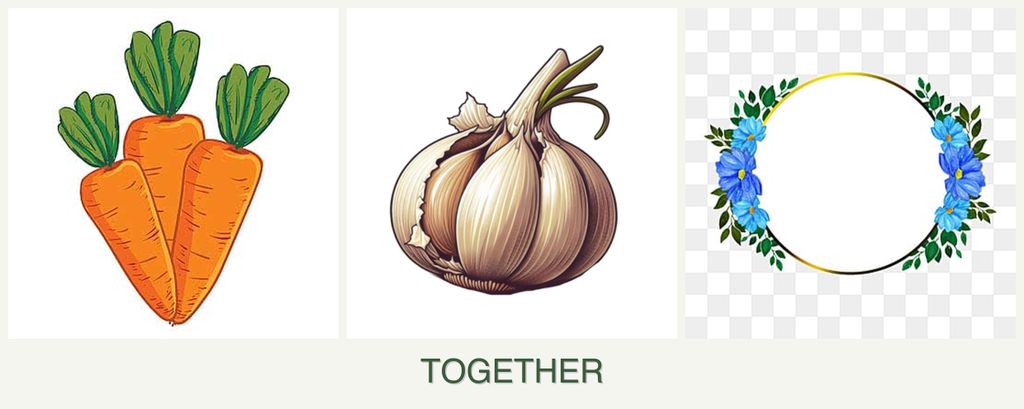 Can you plant carrots, garlic and zinnias together?