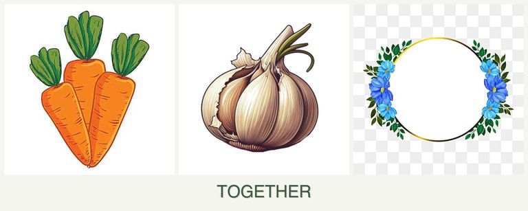 Can you plant carrots, garlic and zinnias together?