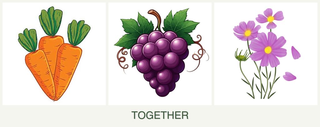 Can you plant carrots, grapes and cosmos together?