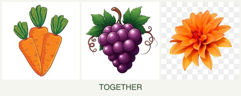 Can you plant carrots, grapes and dahlias together?