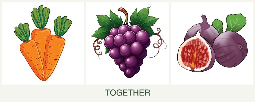Can you plant carrots, grapes and figs together?