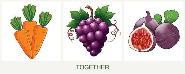 Can you plant carrots, grapes and figs together?