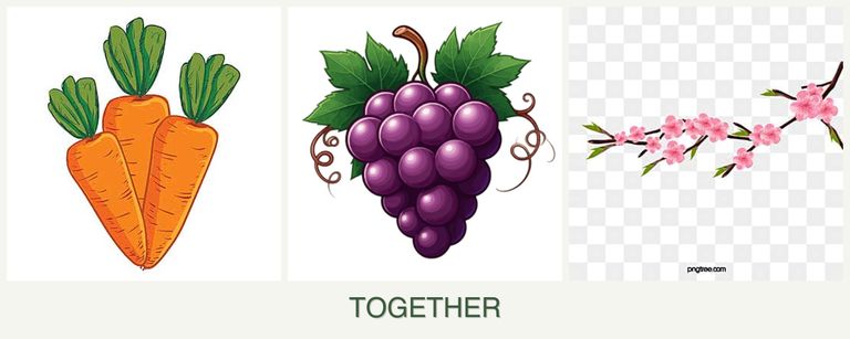Can you plant carrots, grapes and peaches together?