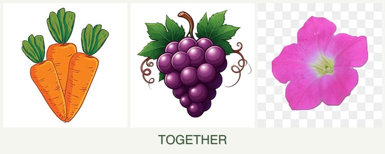Can you plant carrots, grapes and petunias together?
