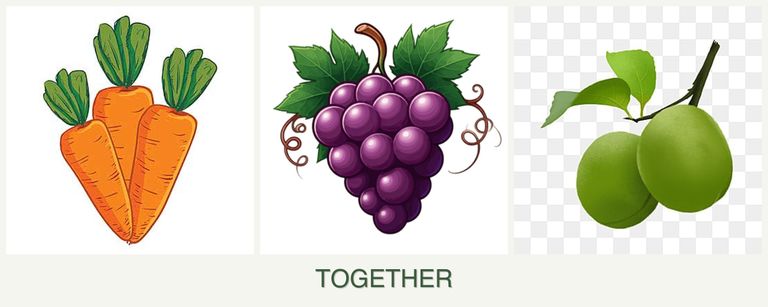 Can you plant carrots, grapes and plums together?