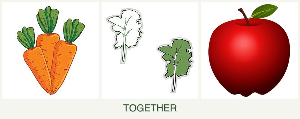 Can you plant carrots, kale and apples together?