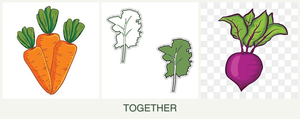 Can you plant carrots, kale and beets together?