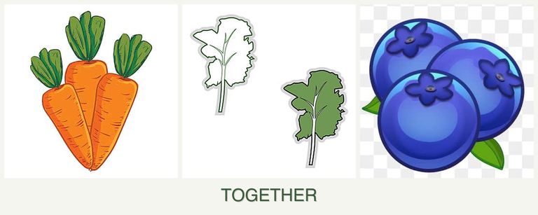 Can you plant carrots, kale and blueberries together?