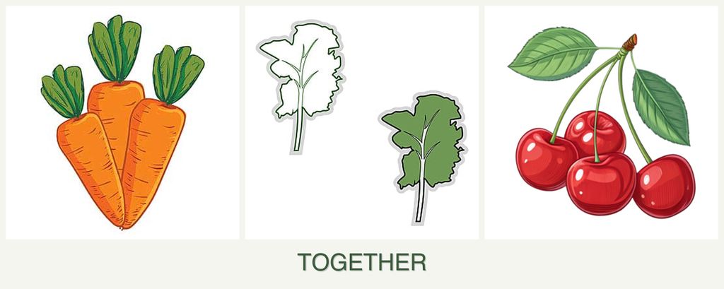 Can you plant carrots, kale and cherries together?