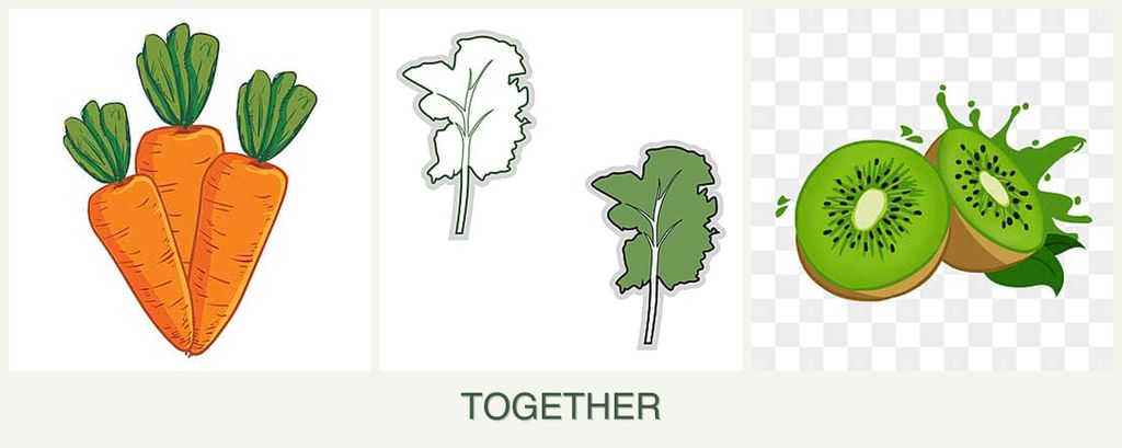Can you plant carrots, kale and kiwi together?