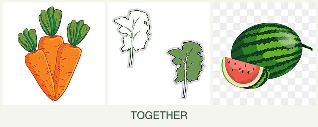 Can you plant carrots, kale and melons together?