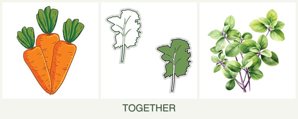 Can you plant carrots, kale and oregano together?