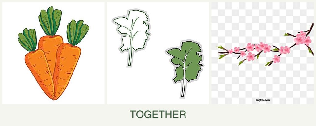 Can you plant carrots, kale and peaches together?