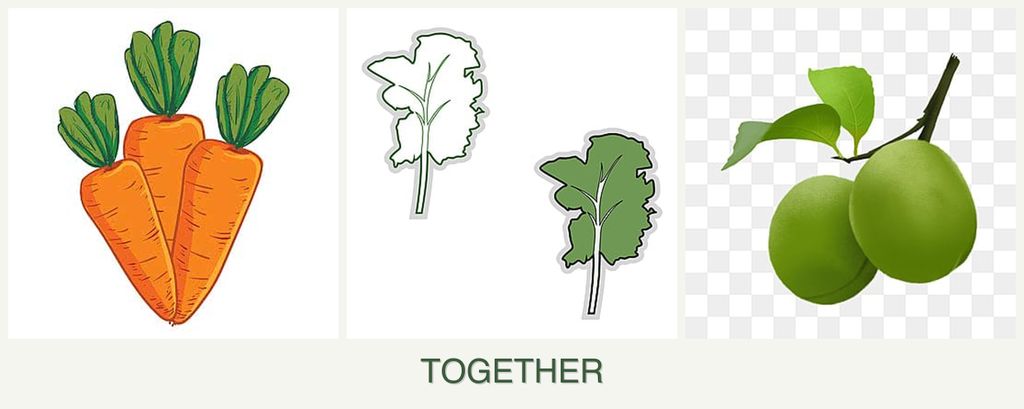 Can you plant carrots, kale and plums together?