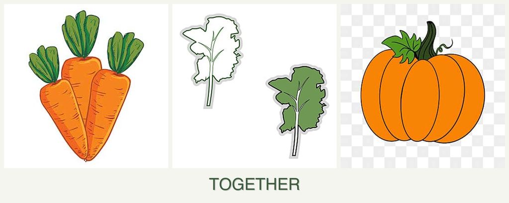 Can you plant carrots, kale and pumpkin together?