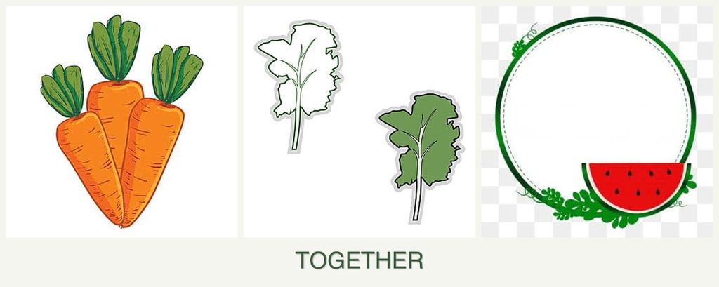 Can you plant carrots, kale and watermelons together?