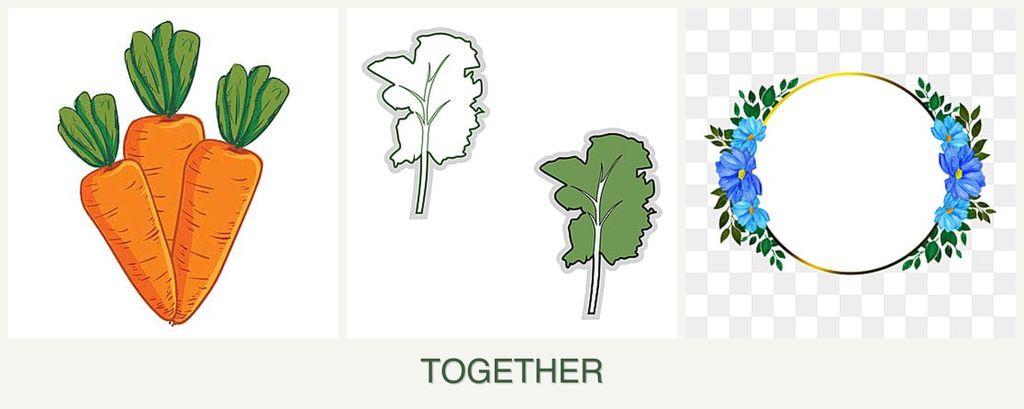 Can you plant carrots, kale and zinnias together?
