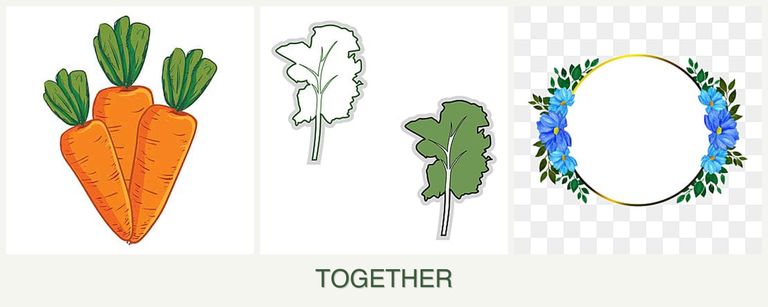Can you plant carrots, kale and zinnias together?