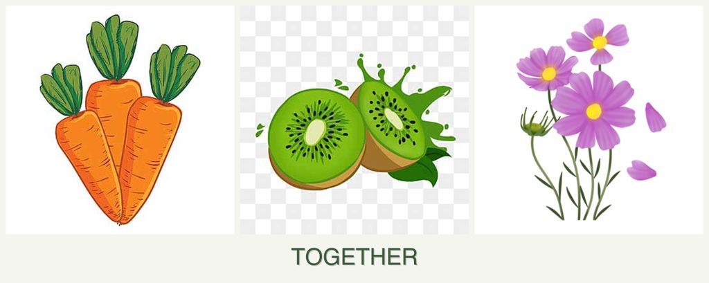Can you plant carrots, kiwi and cosmos together?